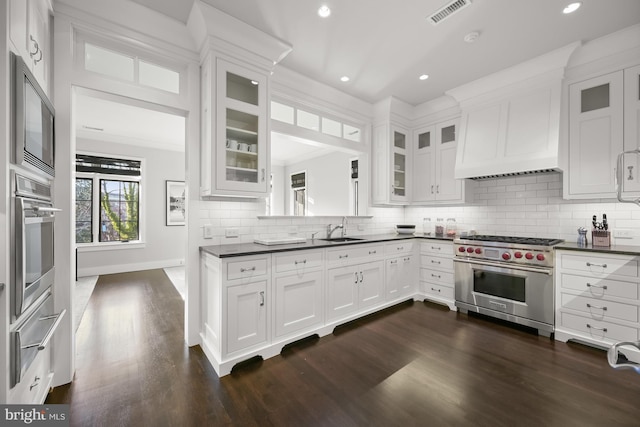 kitchen featuring sink, white cabinetry, appliances with stainless steel finishes, and custom exhaust hood