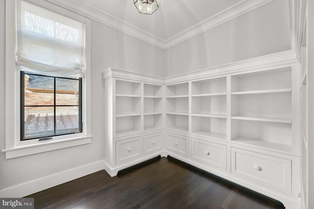 interior space featuring dark hardwood / wood-style flooring