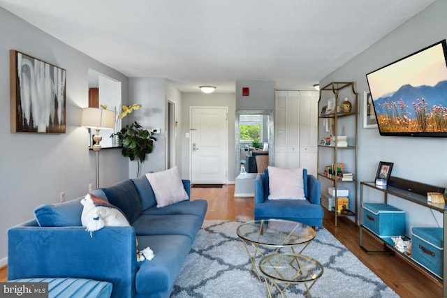 living room with hardwood / wood-style flooring