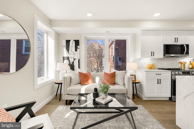 living room featuring light hardwood / wood-style flooring