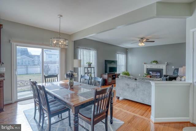 dining space with ceiling fan with notable chandelier, a glass covered fireplace, and light wood-style floors