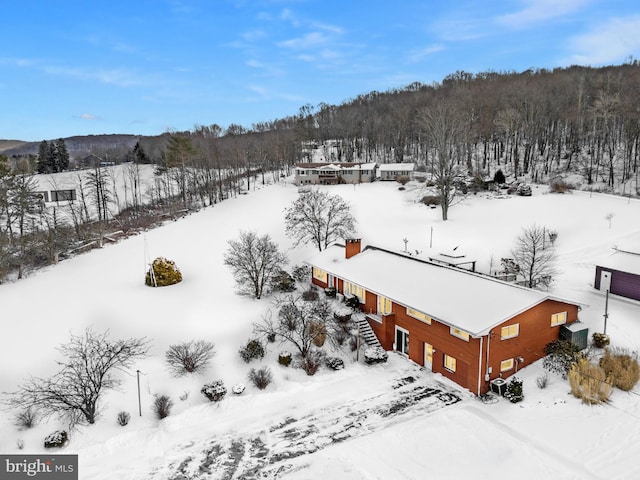 view of snowy aerial view