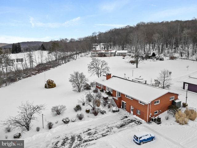 view of snowy aerial view