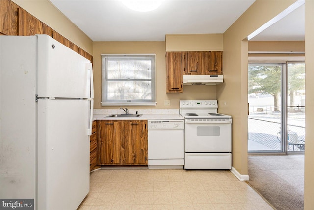 kitchen featuring plenty of natural light, sink, white appliances, and light carpet