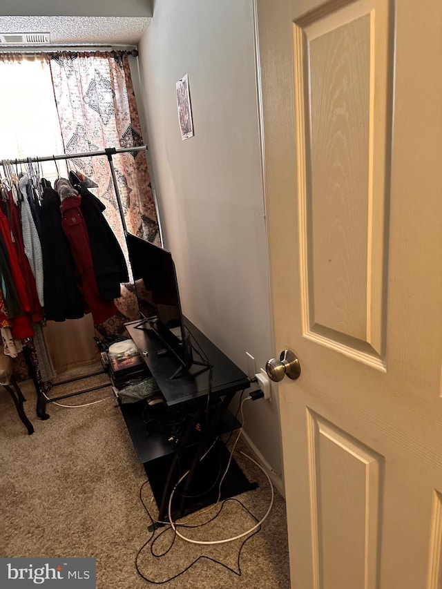 spacious closet with carpet