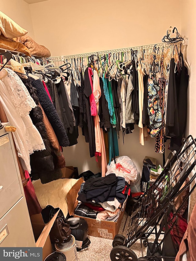 spacious closet with carpet