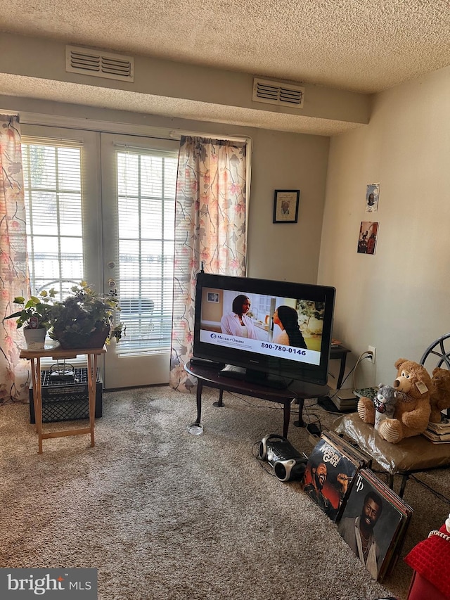 living area with carpet and a textured ceiling