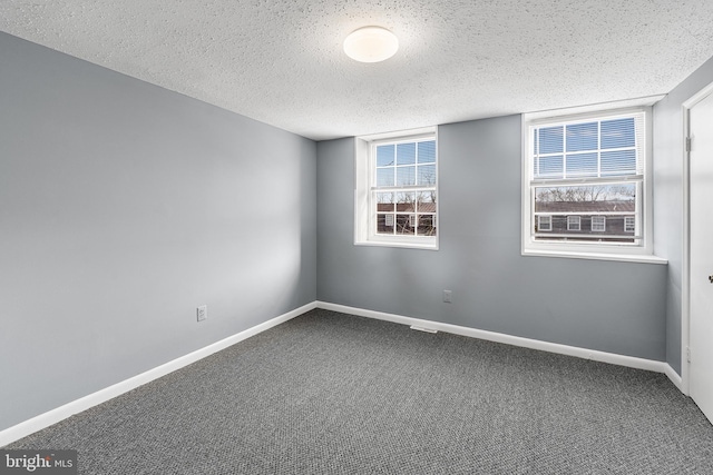 spare room featuring plenty of natural light, carpet, and a textured ceiling