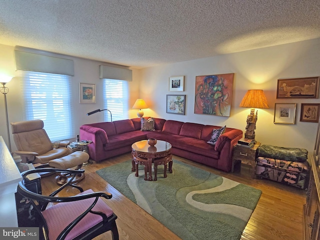 living room featuring hardwood / wood-style flooring and a textured ceiling