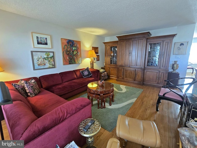 living room with wood-type flooring and a textured ceiling