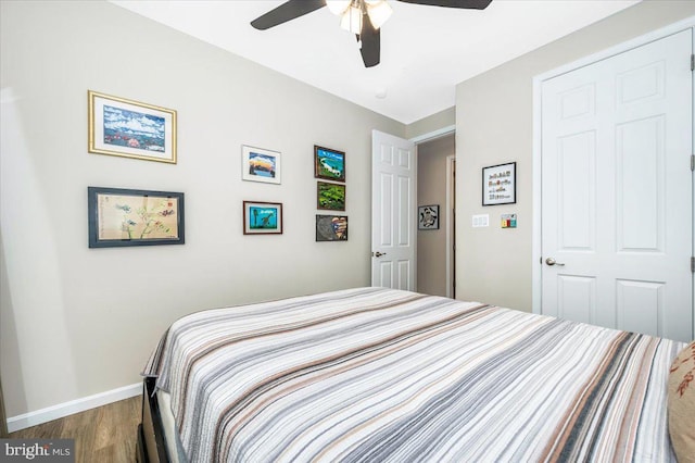 bedroom with hardwood / wood-style flooring and ceiling fan