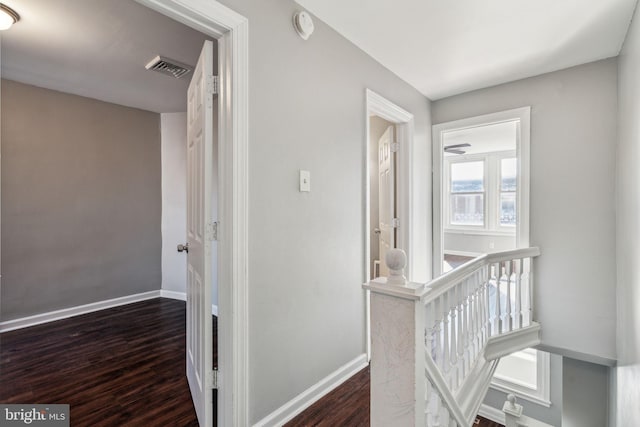 hallway with dark hardwood / wood-style floors