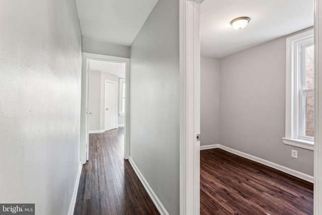 hall featuring dark hardwood / wood-style floors