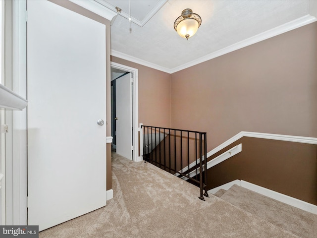 staircase with crown molding and carpet