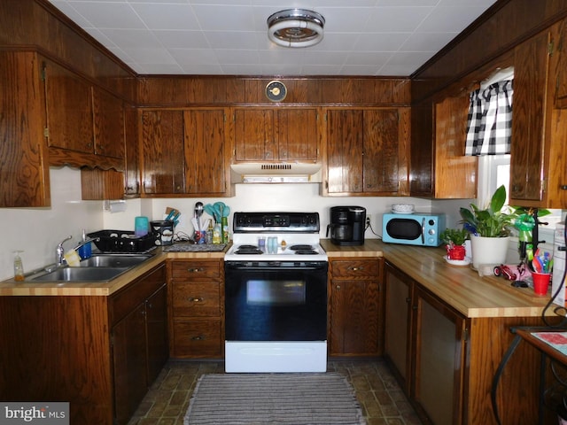 kitchen featuring sink and electric stove