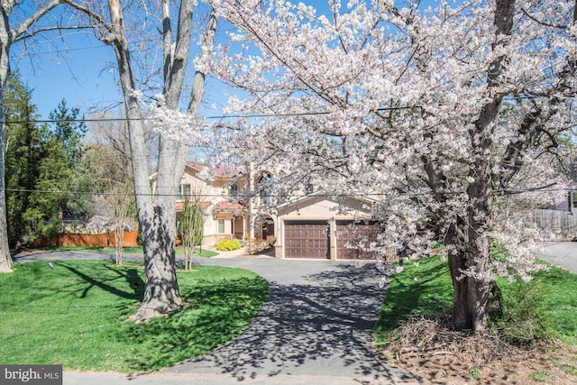 obstructed view of property with a garage and a front lawn