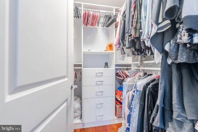 walk in closet with light hardwood / wood-style flooring