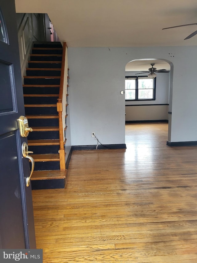 interior space featuring ceiling fan and light wood-type flooring