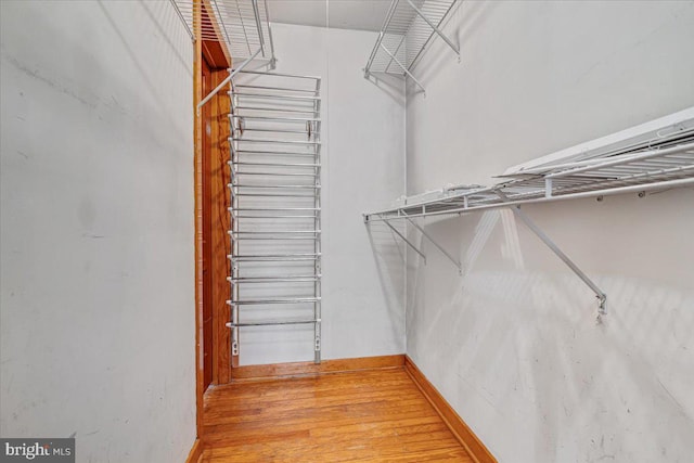 spacious closet with hardwood / wood-style floors