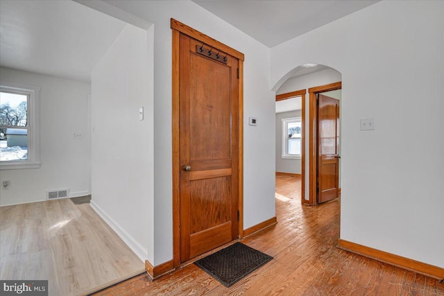 hall featuring light hardwood / wood-style flooring and a wealth of natural light