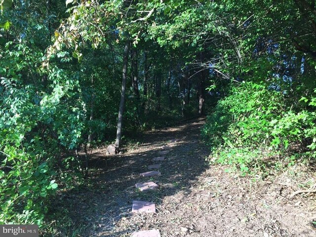 view of local wilderness featuring a view of trees