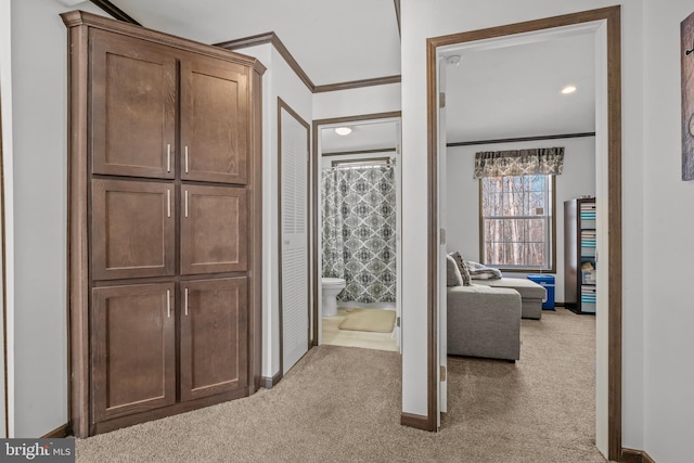 corridor featuring crown molding and carpet