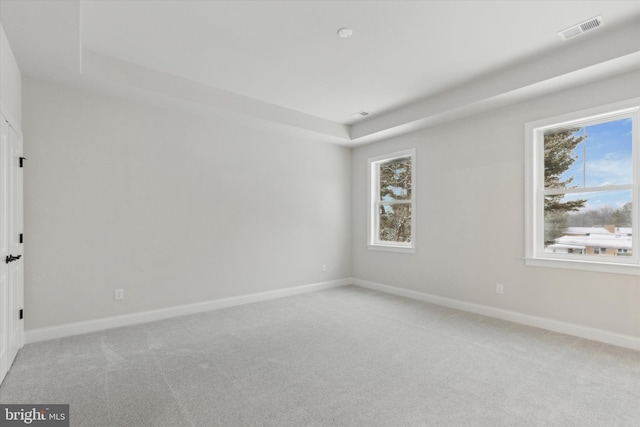 spare room with light colored carpet and a tray ceiling