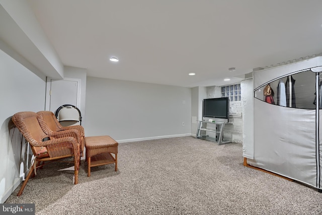 sitting room featuring carpet floors