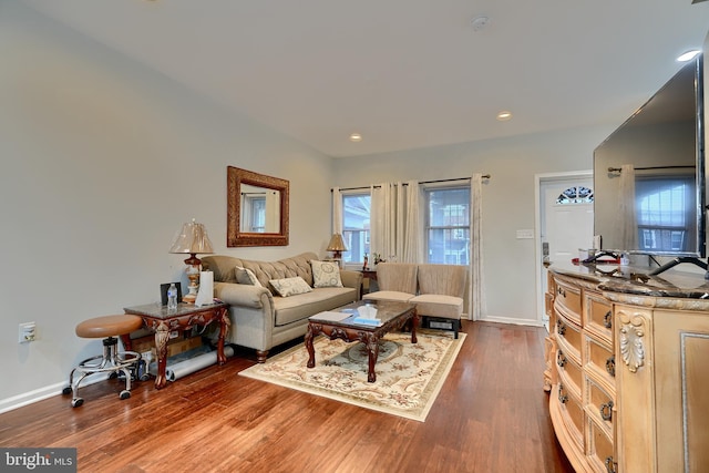 living room featuring wood-type flooring