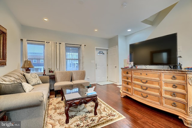 living room with dark hardwood / wood-style flooring