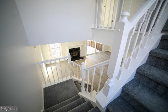 staircase featuring hardwood / wood-style floors