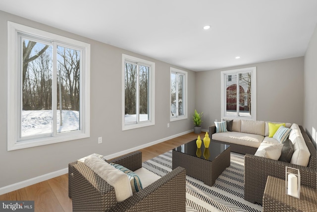 living room with light hardwood / wood-style flooring