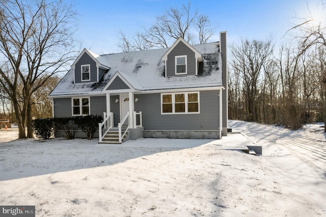 view of cape cod house