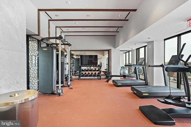 workout area featuring a towering ceiling, a wealth of natural light, and a wall of windows