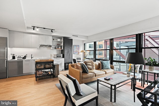 living room with sink, light hardwood / wood-style flooring, and rail lighting