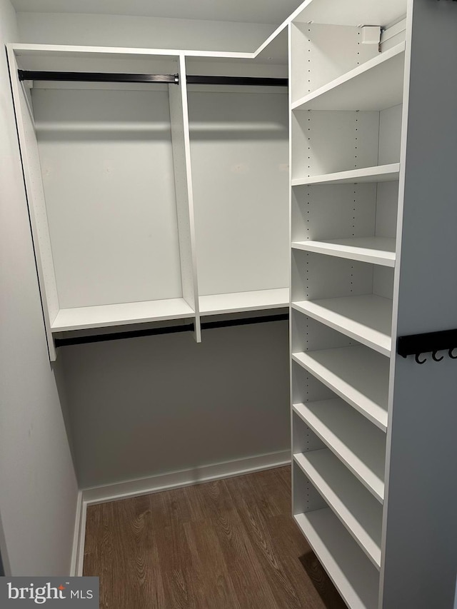 walk in closet featuring dark hardwood / wood-style flooring