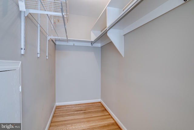spacious closet featuring wood finished floors