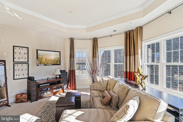 living room with a tray ceiling, crown molding, and light carpet