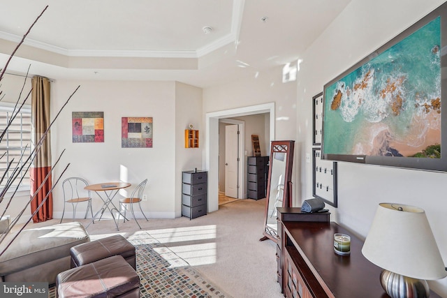 carpeted living room featuring ornamental molding and a raised ceiling