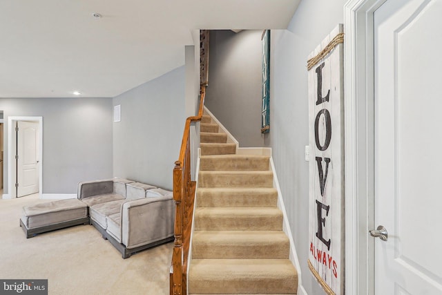 staircase with carpet flooring