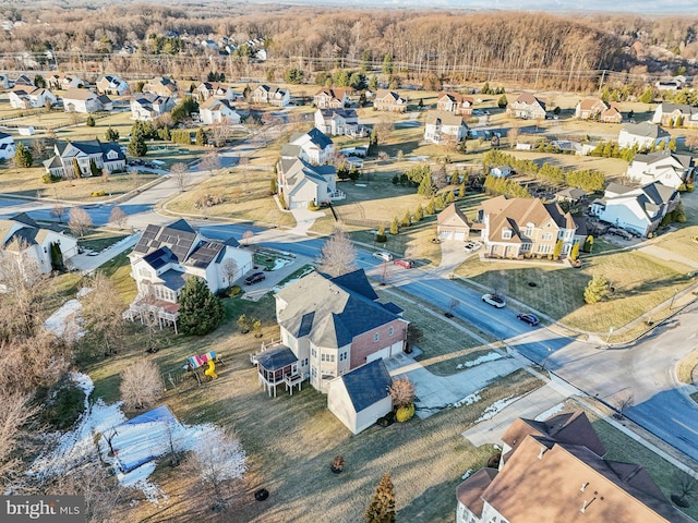 bird's eye view