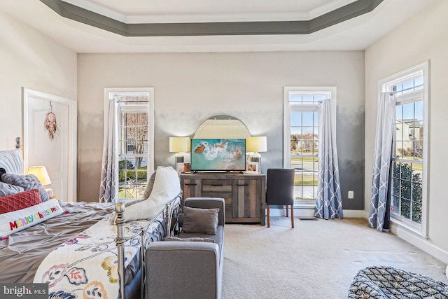 carpeted bedroom with a raised ceiling