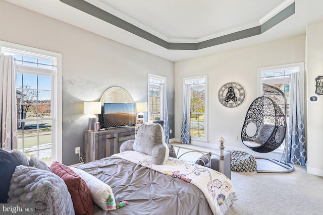 carpeted bedroom with a tray ceiling and ornamental molding