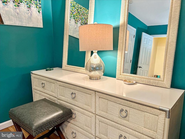 bathroom featuring wood-type flooring