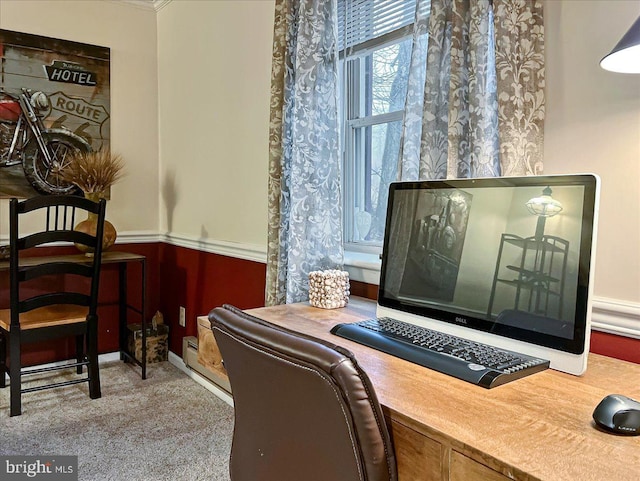 details featuring built in desk, wood walls, and carpet