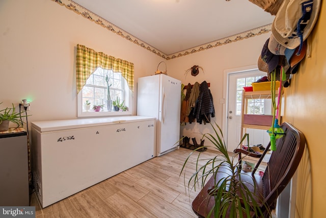 interior space with plenty of natural light and light hardwood / wood-style flooring