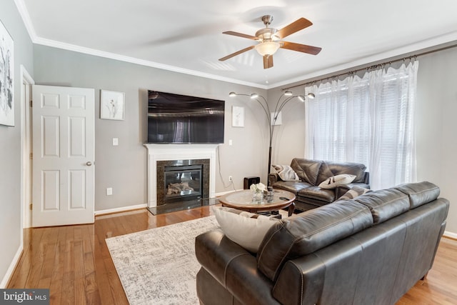 living room with a fireplace, ornamental molding, ceiling fan, and light wood-type flooring