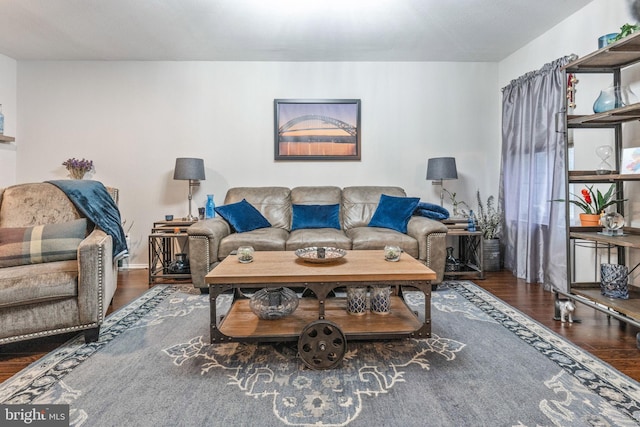 living room with wood-type flooring