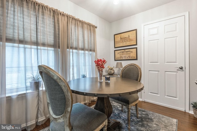 dining room featuring dark wood-type flooring