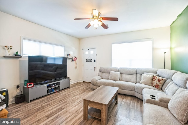 living room featuring wood-type flooring and ceiling fan